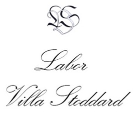 logo stoddard